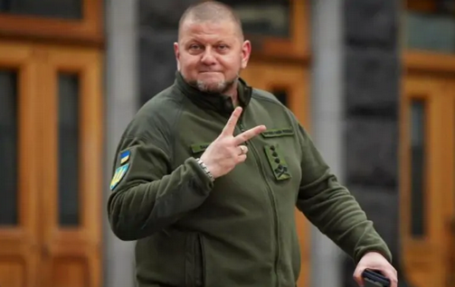 Залужний таємно готується балотуватися в президенти України, - американська журналістка